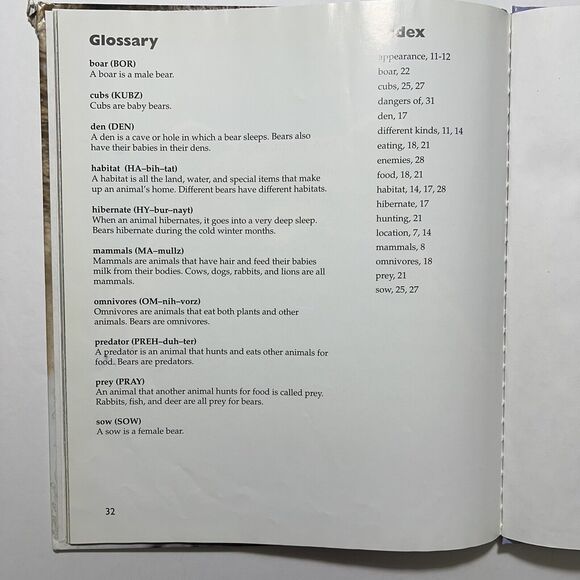 Set Of 2 Childrens Story Books Hardcover Dear Children of the Earth and Bears - Picture 12 of 13